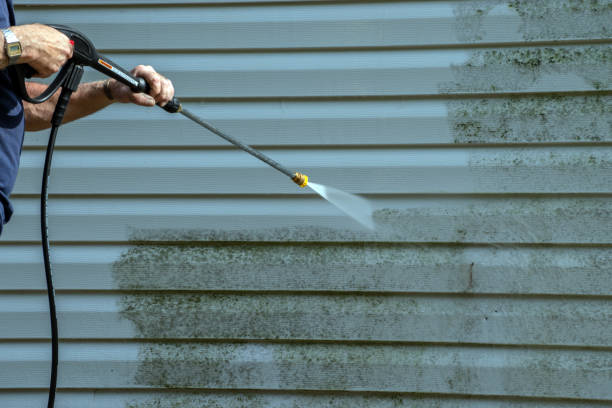 Best Solar Panel Cleaning  in Raubsville, PA